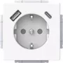 BJ 20 EUCB2USBAC-84 Presa SCHUKO/USB-A+C (2CKA002011A6306)