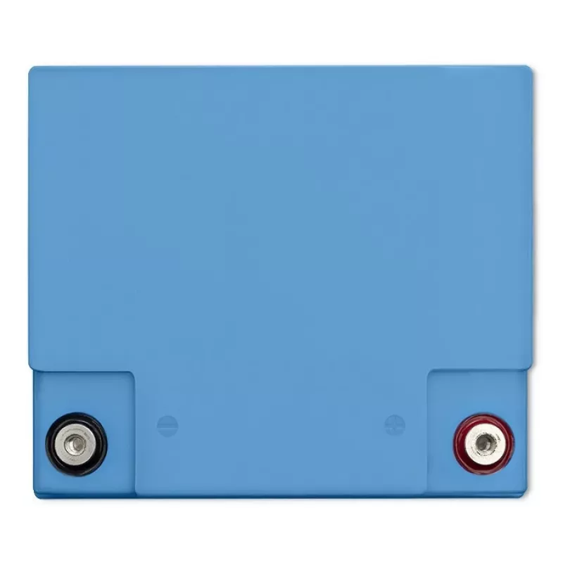 Batteria LiFePO4 QOLTEC 12,8 V 50 Ah (modello 53704) per backup e accumulo di energia