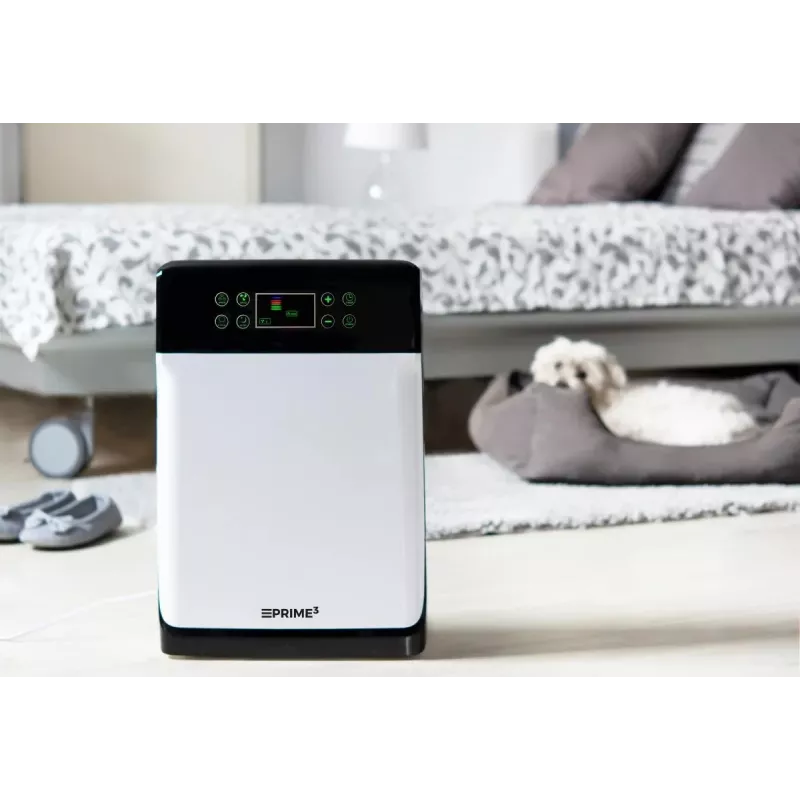 Purificatore d'aria SAP51