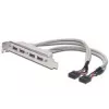 Cavo con staffa slot USB 2.0 HighSpeed Type 2xIDC (5pin)/4xUSB A M/F grigio 0,25 m