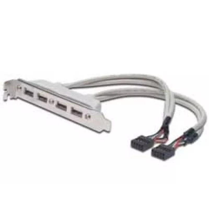Cavo con staffa slot USB 2.0 HighSpeed Type 2xIDC (5pin)/4xUSB A M/F grigio 0,25 m