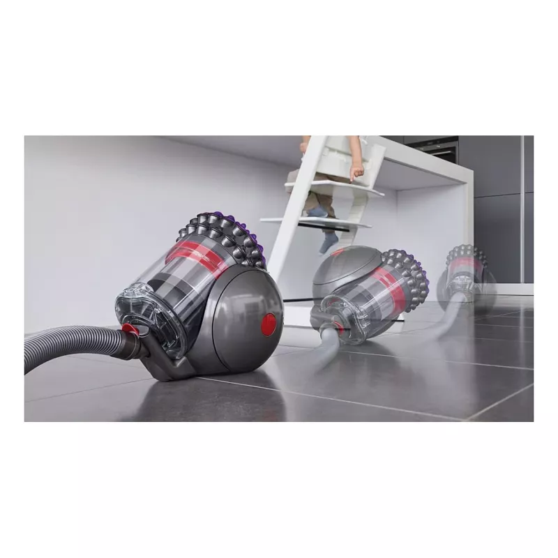 Aspirapolvere a cilindro Dyson Big Ball Absolute 2 - 447250-01
