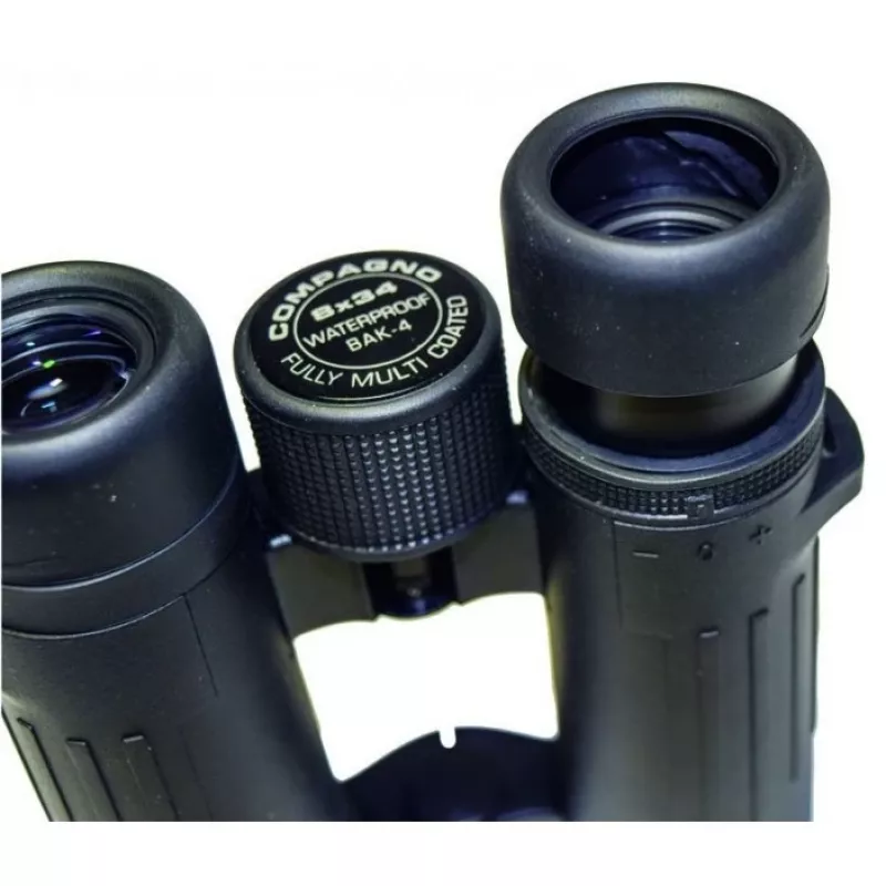 Binocolo Braun Photo Technik Compagno 10x34 WP BaK-4 nero