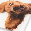Bilancia Zelmer ZBS1010 bianco ZBS1010 cane ZELMER