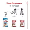 ROYAL CANIN SHN Medium Ageing Loaf scatoletta 410 g