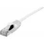 Cavo di rete Dexlan 858743 0,5 m Cat6a S/FTP bianco