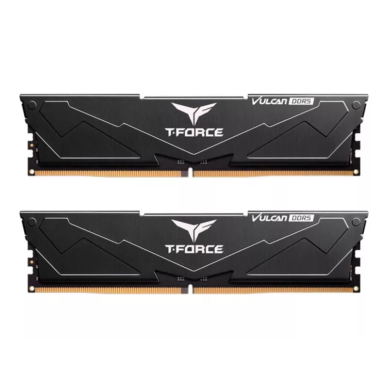 DIMM 32 GB DDR5-6000 (2x 16 GB) Dual-Kit, memoria RAM nera, FLBD532G6000HC38ADC01, Vulcan, AMD EXPO