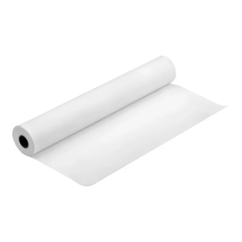 Epson Premium Semimatte rotolo di carta fotografica, 44