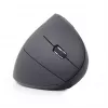 Gembird MUSW-ERGO-01 Mouse per destrorsi RF Wireless Ottico 1600 DPI