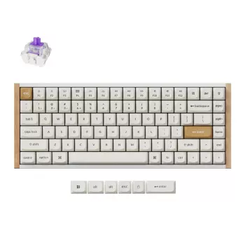 Tastiera meccanica wireless Keychron K2 Special Edition bianco retroilluminazione RGB, layout compatto 75%
