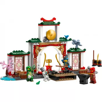 LEGO NINJAGO 71831 Tempio Spinjitzu ninja
