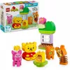 LEGO DUPLO 10457 La festa di compleanno di Winnie the Pooh