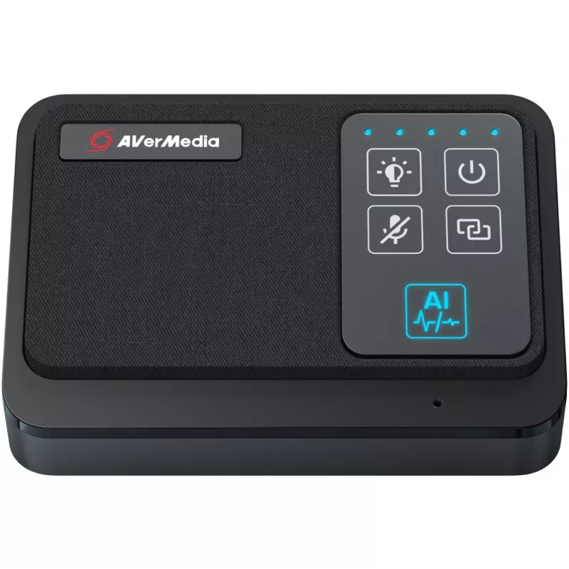 Set microfono wireless AVer per PA511D AW111 (61AW111000AB)