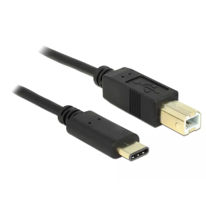 Cavo USB DeLOCK 2 m USB2.0-C/USB2.0-B