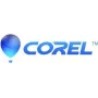 Corel PaintShop Pro 2023 - box pack - 1 utente (mini-box) - Win - multilingua - Europa