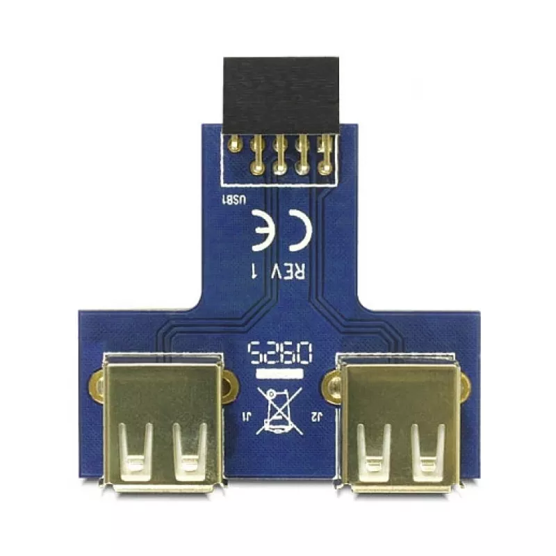 DeLOCK 9 poli 2,54 mm 2 x USB 2.0 1 x 9 poli 2,54 mm nero blu argento