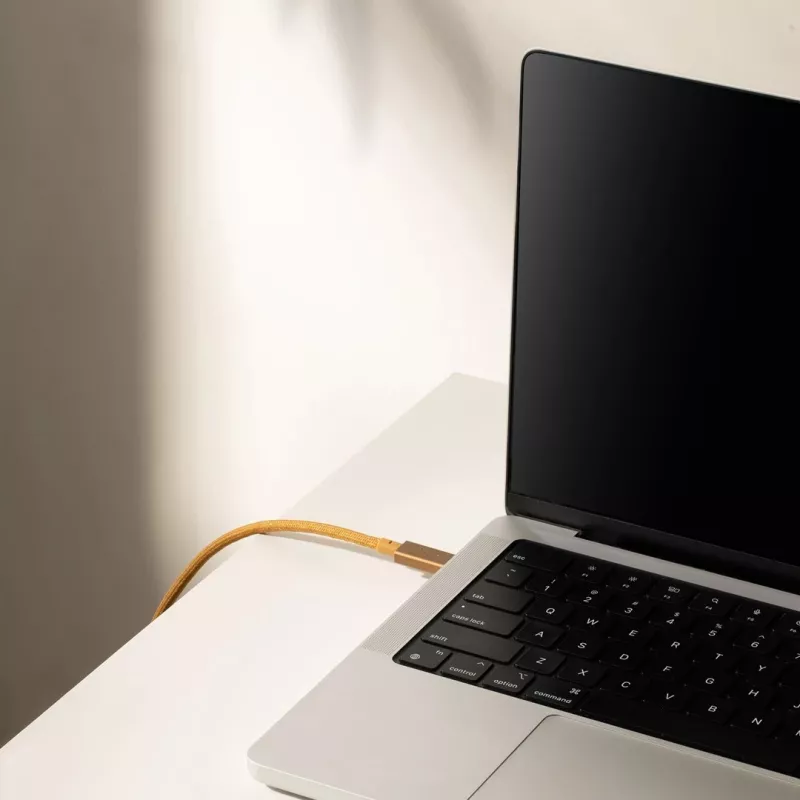 Cavo USB-C su USB-C Native Union Belt Cavo Pro 240W, 2,4 m, USB 2.0, 0,48 Gbit/s, verde
