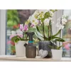 Spruzzatore da giardino a mano Gardena 11112-20
