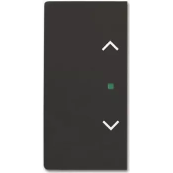 BUSCH JAEGER BJ 6232-20-885 tasto 2 vie cieco nero opaco Busch-free@home future