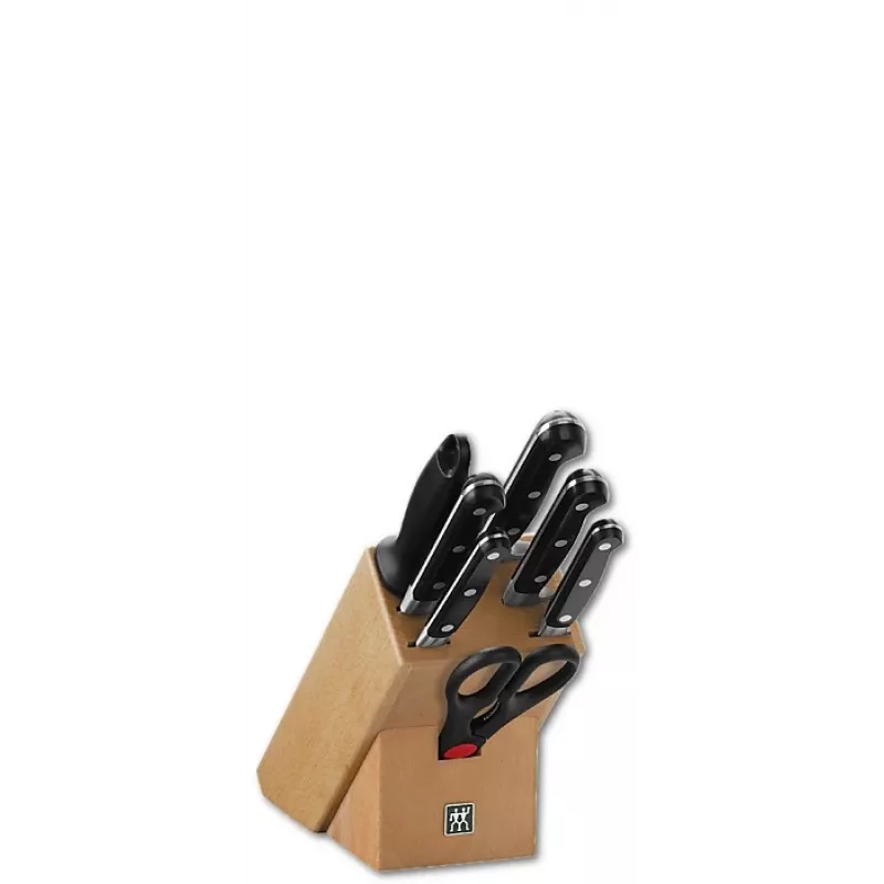 Set di coltelli con ceppo Zwilling Professional S