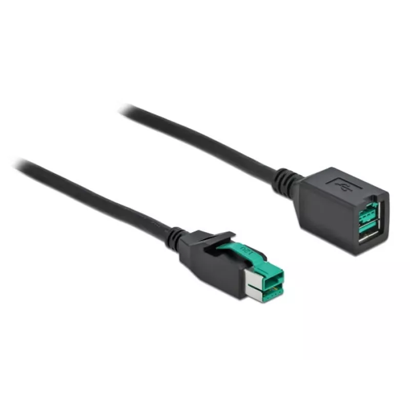 Prolunga USB alimentata DeLOCK 85980 12 V 1 m