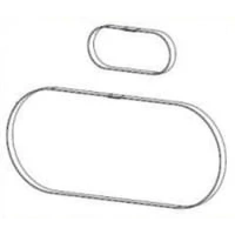 Zebra P1046696-146 ricambio/accessorio per stampante/scanner cinghia 2 pz.