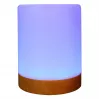 Luce ambientale RealPower 200 RGB con telecomando