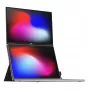 Mobile Pixels 101-1011P03 display