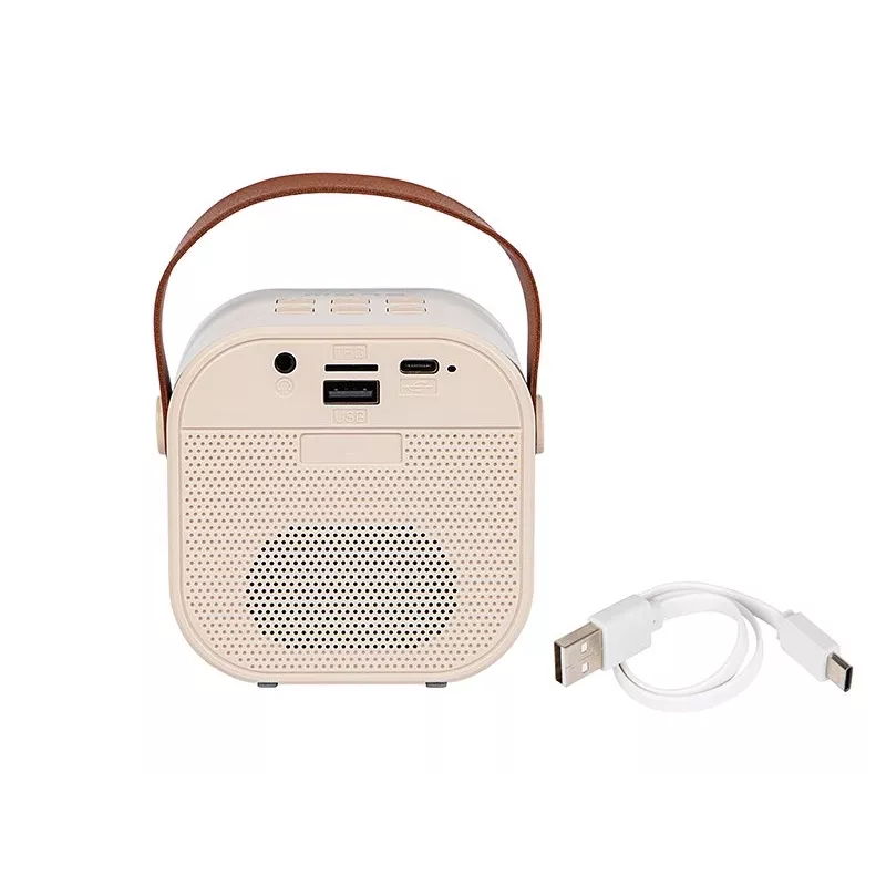 Cassa karaoke, cassa Bluetooth KARAOKE RGB, 30W
