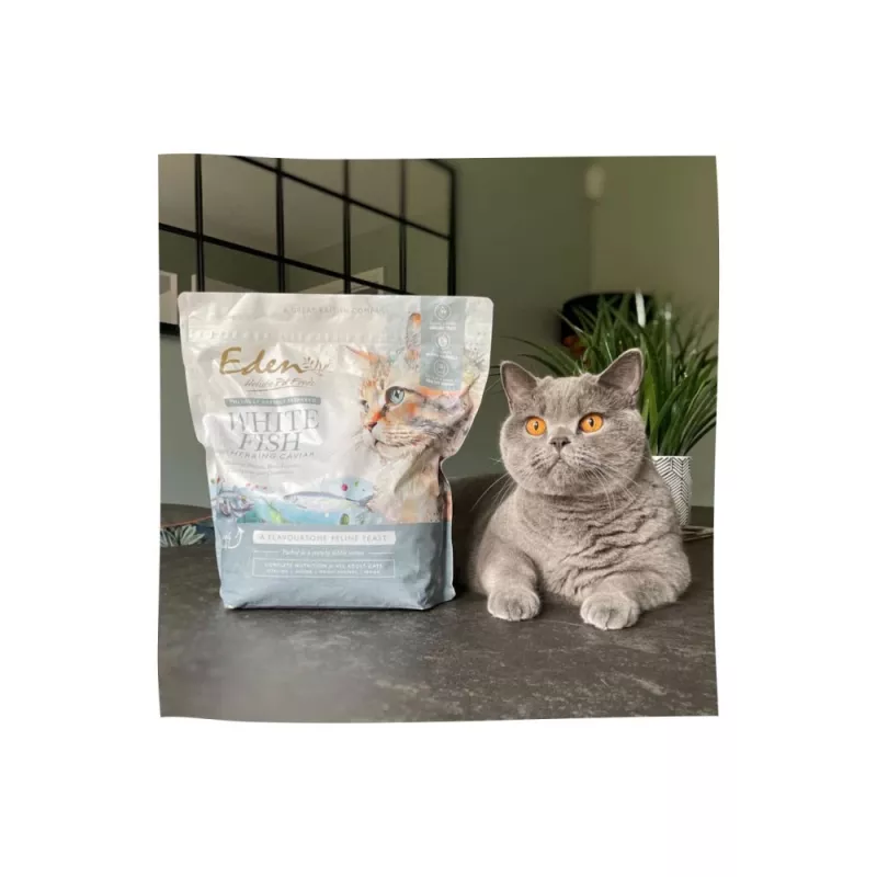 EDEN Pesce bianco con caviale di aringa - cibo secco per gatti - 1,5 kg
