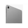 Apple iPad Air 11 pollici Wi-Fi 1TB – Grigio siderale