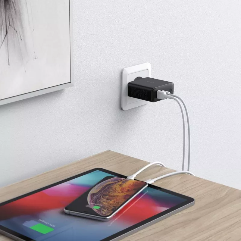 Caricatore da parete PA-D3 2xUSB Power Delivery (1xUSB+1xUSB C) 5,4A 60W Dynamic Detect