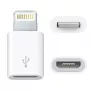 Adattatore USB Micro - Lightning