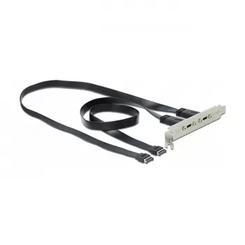 Staffa per slot DeLOCK 89935 con 2 x connettori USB Type-C
