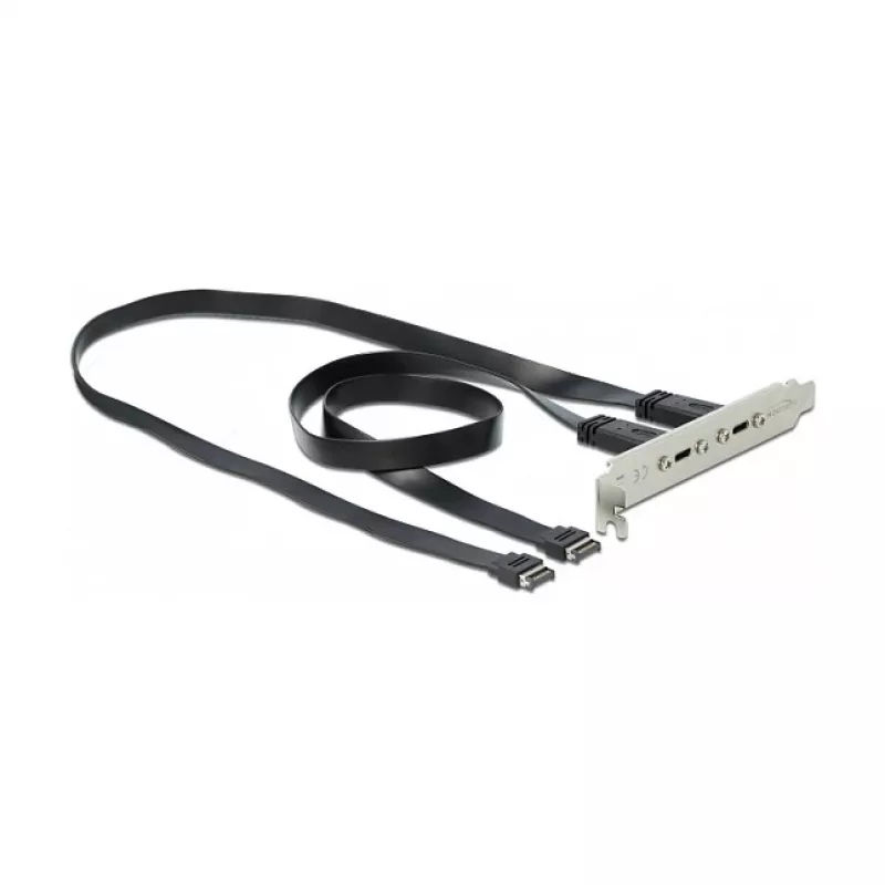 Staffa per slot DeLOCK 89935 con 2 x connettori USB Type-C