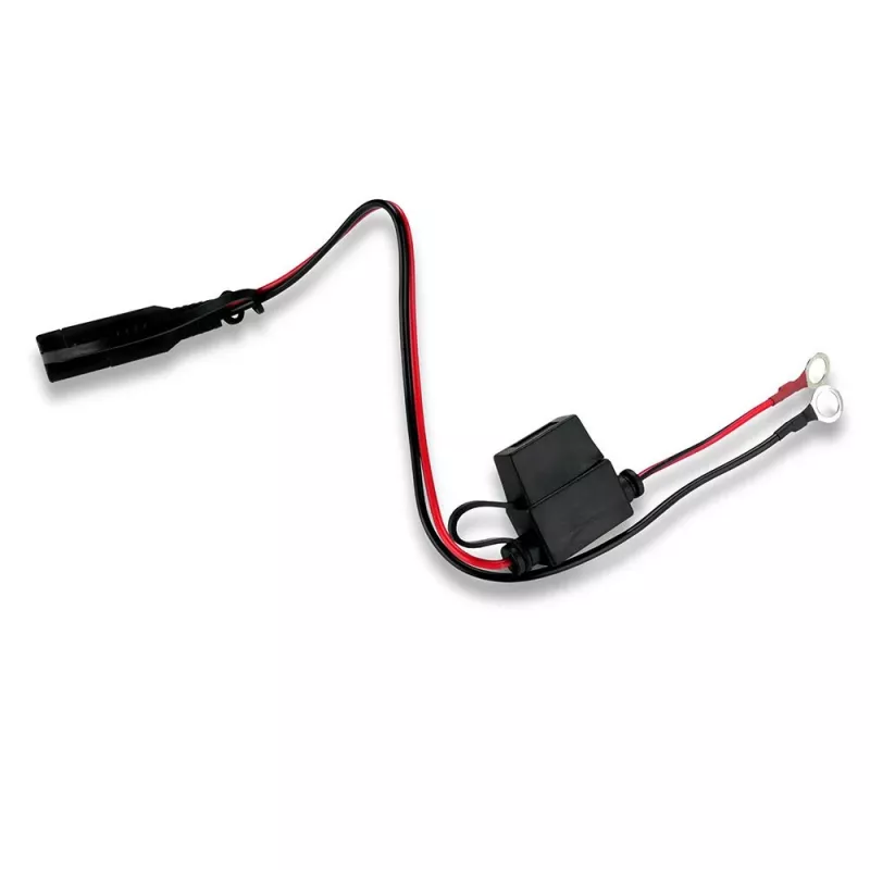 Caricabatterie per auto everActive CBC1 6V/12V