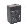 Batteria al piombo-acido europower EP4.5-6 6V 4,5Ah