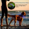 Collare LED KABB blu per cani e gatti – ricaricabile, collare di sicurezza regolabile con illuminazione