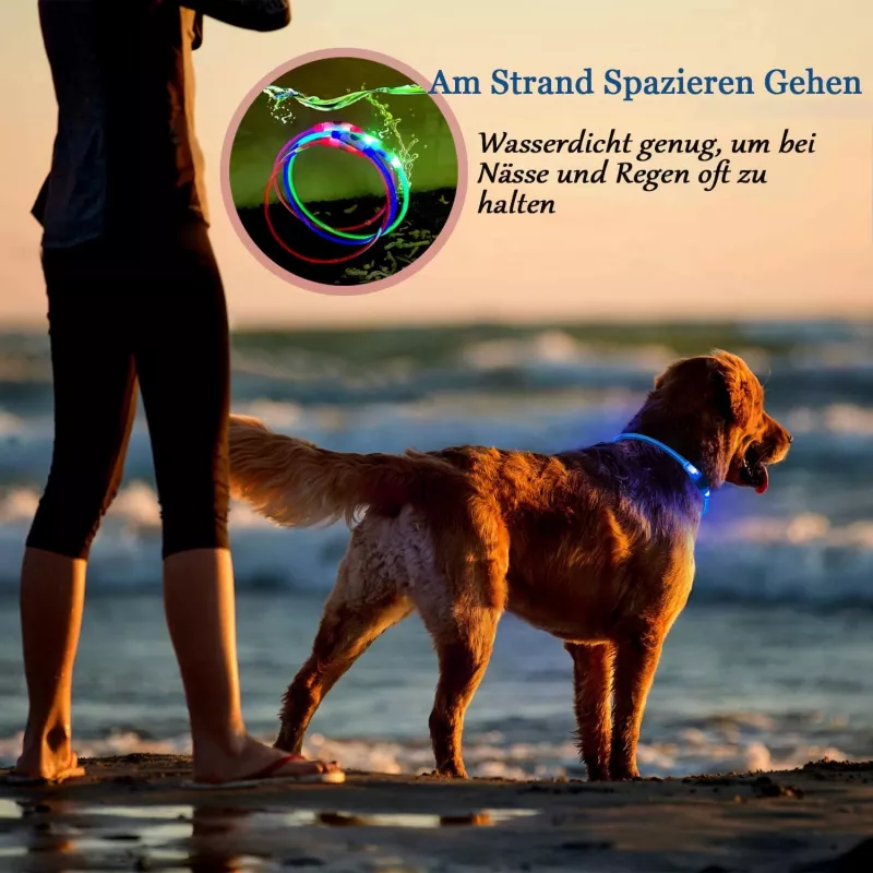 Collare LED KABB blu per cani e gatti – ricaricabile, collare di sicurezza regolabile con illuminazione