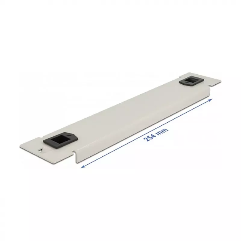 Pannello cieco DeLOCK armadio di rete 10
