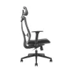 Sedia ergonomica premium Ergo Officer ER-414