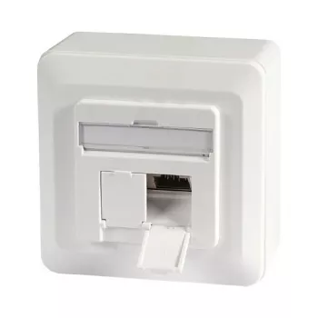 EFB-Elektronik Presa dati Cat.6A 500MHz sopra/sotto, a parete, 2xRJ45, RAL9010 Produttore: EFB Elektronik (ET-25133AV5-R)