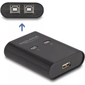 Switch periferiche USB 2.0 DeLOCK