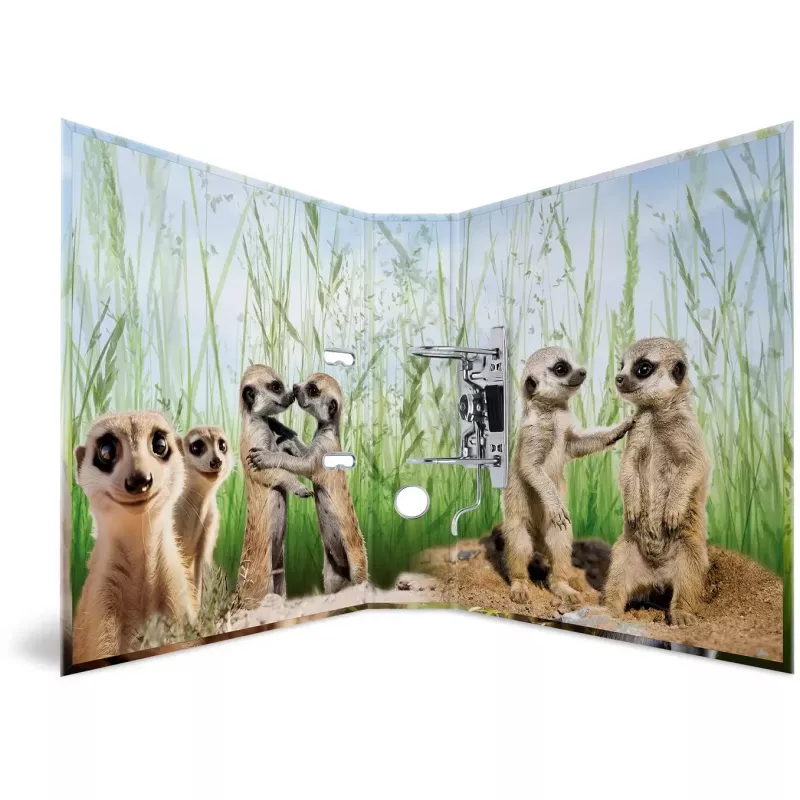 Raccoglitore ad anelli HERMA 20048 A4 multicolore anello a D cartone