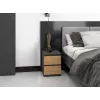Comodino Topeshop M2 ANTRACYT/ARTISAN 2 cassetti antracite rovere legno