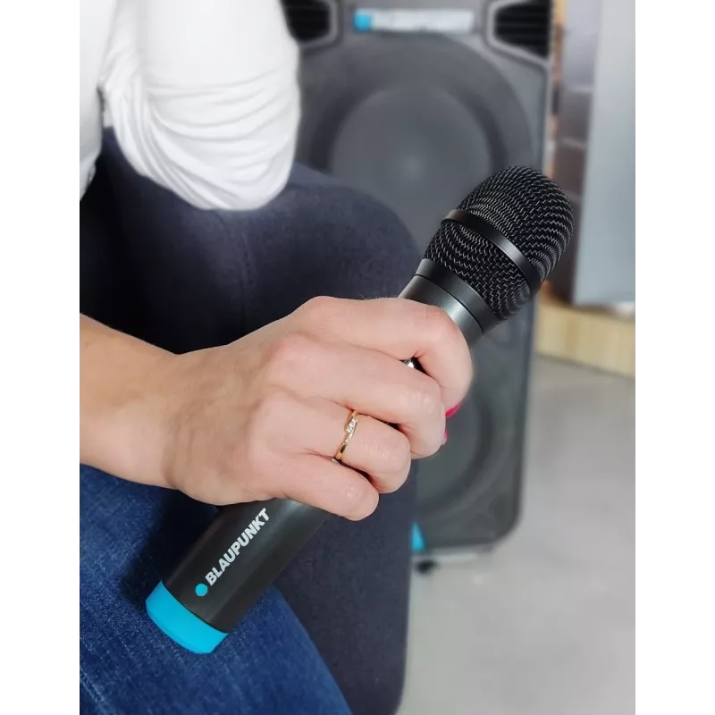 Microfono Blaupunkt WM60UDB