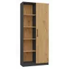 Modulo aggiuntivo libreria Topeshop RD-80 ANT/ART KPL, 10 ripiani, truciolare, 800×300×1820 mm