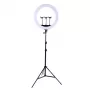 Lampada anulare LED 45 cm con stativo fino a 2,1 m