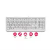 Tastiera CHERRY KC 1000 home USB layout svizzero grigio