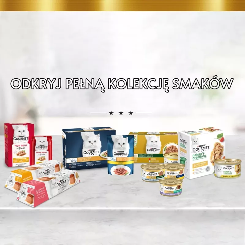 GOURMET GOLD Sauce Delights pollo 85g
